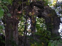 22Hirsch - Weltner család